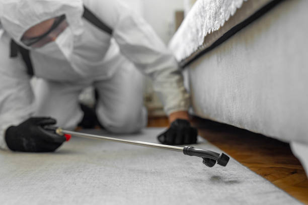 Professional Termite Control technician working in Port Norris, NJ
