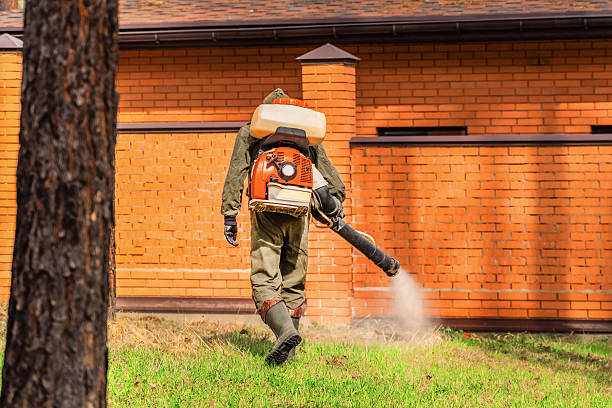 Trusted Rodent Control service in Port Norris, NJ - Nex Pest Control